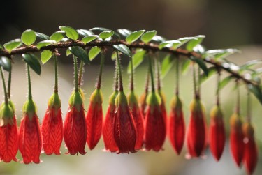 东莞道滘私人快速借钱网，轻松解决资金难题