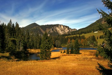 东莞道滘民间私贷攻略：揭秘低成本借贷的秘密