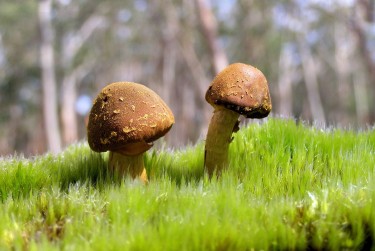 东莞道滘私人老板放款：轻松融资的秘密通道